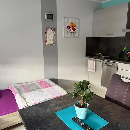 Apartment For 2 People Zimmervermietung Lang Riedstadt